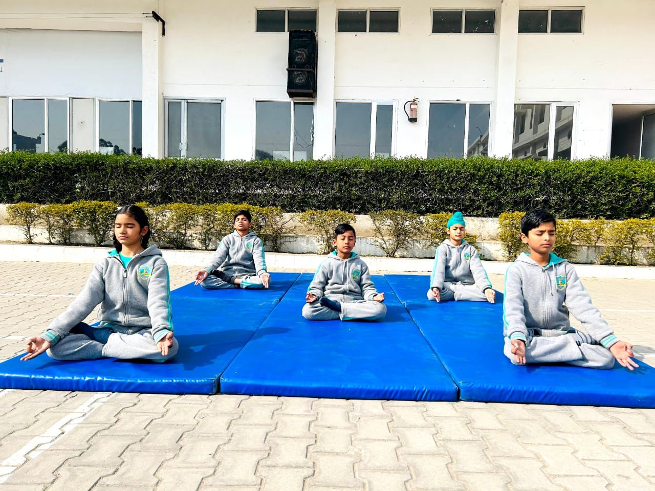 Yoga Day